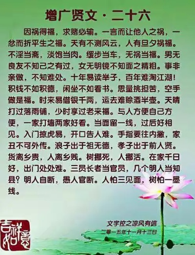 增广贤文领航版v9.136，专业工具引领风尚标