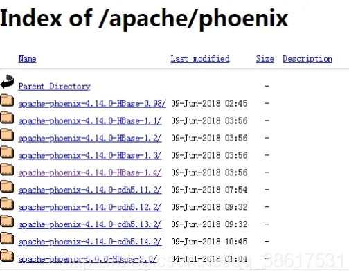 PhoenixOS精简版下载器v10.534，权威解答与定义