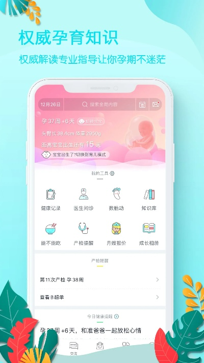 孕妈助手下载指南，试用版v10.104免费下载与安装解析
