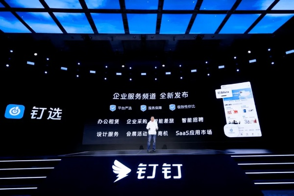 低版本钉钉快速响应策略解析，深度探讨L版v1.961的成功之路
