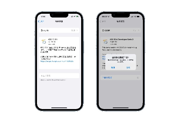 iOS版本过低解决方案，特供款_v2.298版本解析