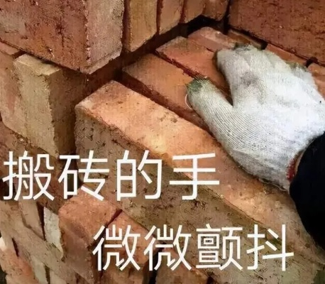搬砖新技巧揭秘，90版本钱包版v6.245升级指南与前沿解读