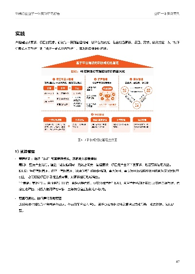 平安天下通老版本数据策略解析与进阶指南_v2.189版本深度解读