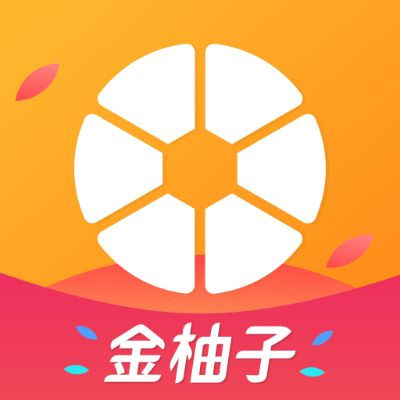 柚子App最新版下载，灵活策略模拟，官方正版v4.785体验版