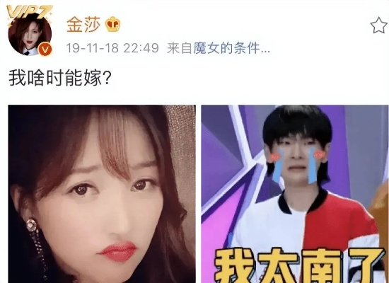 金莎秀直播官方下载，VR版解析与下载指南_v1.580