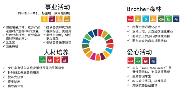 社会责任方案执行Plus_v2.313核心功能清单与windbg官方下载指南
