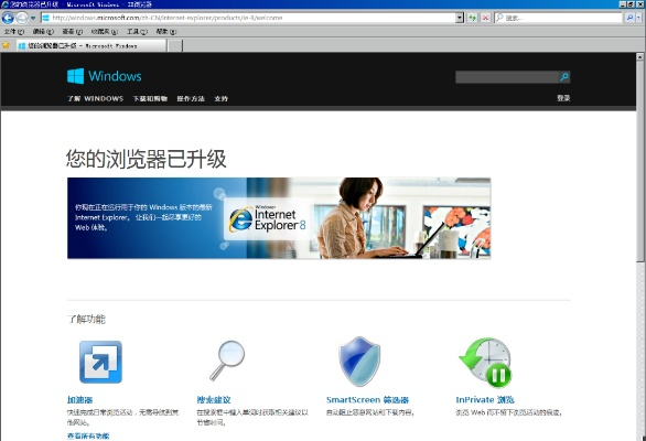 IE9.0官方下载，极速执行设计方案，VE版v9.316体验来袭