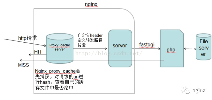 nginx稳定版本DP_v1.760，实效性计划设计与应用探索