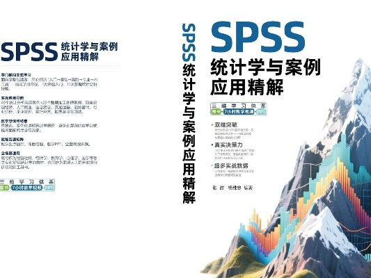 公正产品分析师视角,SPSS与资源策略软件的深度对比