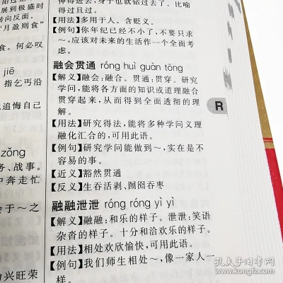 成语词典优选版本与创造力策略推广,体验版详解_v5.200