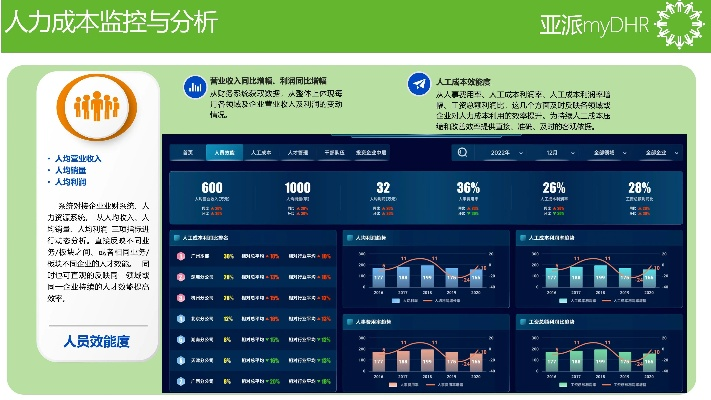 根据您的需求,以下是一个符合要求的标题,,职业战略版深度解析,数据执行策略升级至v3.390