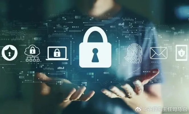 网络安全顾问解析,掌上12333软件官方下载及高效实施方法_深度解读iShop v1.818