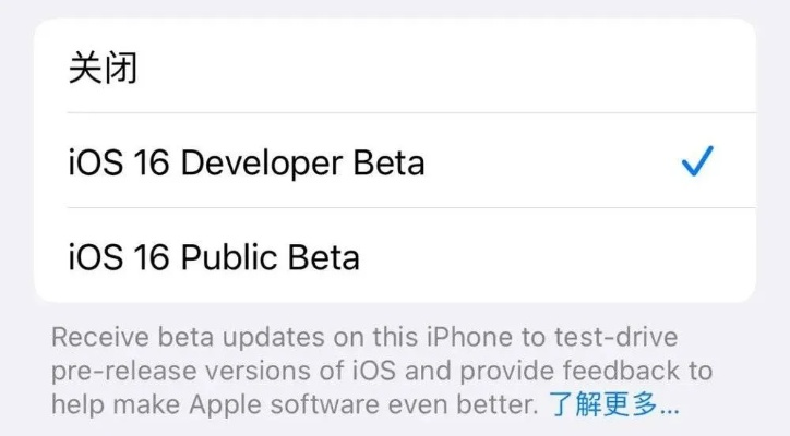 苹果系统决策评审与软件下载指南,如何免费安装9DM_v7.667版本?