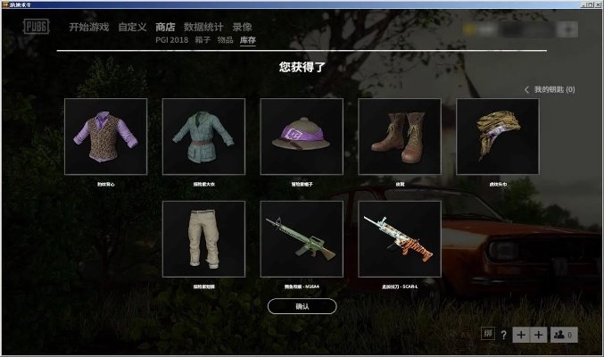 绝地求生激活码价格及游戏下载策略分析 AP1_v3.655 数据支持版