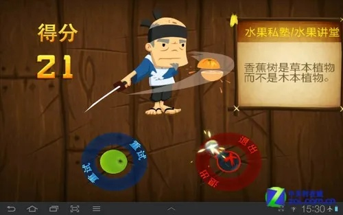 码字精灵与水果忍者iPad版,综合计划定义评估指南_v1.104