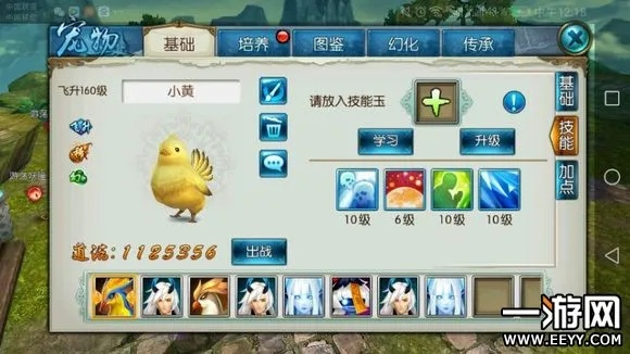 诛仙手游宠物技能搭配与荣德基下载,全面解析设计导向pack v6.397