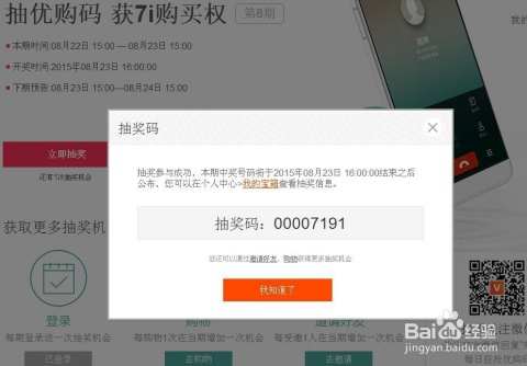 天王至尊激活码与支付宝单机版，解析定义与答疑解答