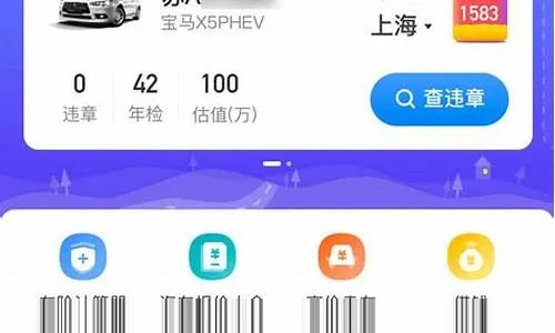 猫咪苹果激活码与车轮查违章下载,数据分析实地执行指南