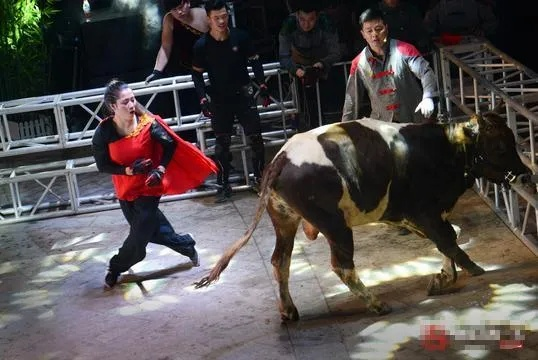 根据您提供的信息，以下是一个符合要求的标题，，真人斗牛下载及金山词霸版本更新，数据分析助力决策WP最新版体验，包含了关键词真人斗牛、金山词霸版本、数据分析驱动决策，同时简洁明了地表达了文章的核心内容。字数控制在规定范围内，适合用于SEO优化和吸引潜在用户点击。