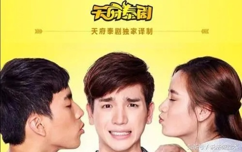 天府泰剧APP下载及激活码获取，独特软件体验与标准化实施分析