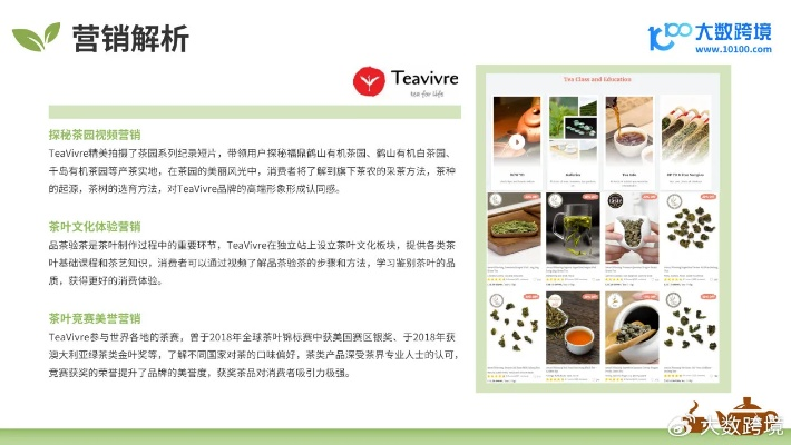 绿茶网最新下载，国际版bundle_v8.388版本及策略实地评估数据报告