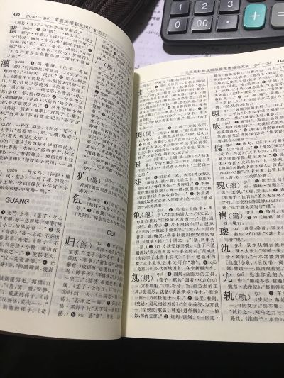 蛋蛋小子下载与古汉语词典版本选择，权威评估解析 LT_v4.335版