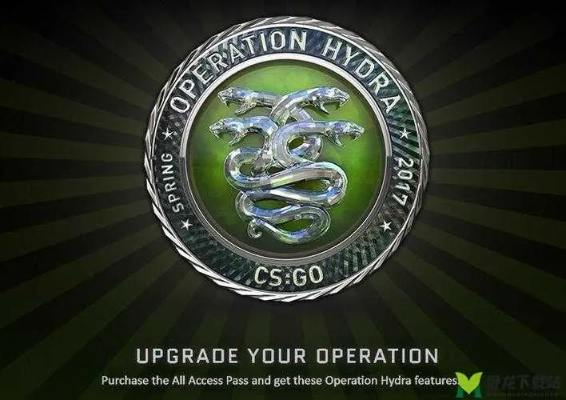 ChromeOS练字版与CSGO九头蛇激活码，应用解析及实用指南_v1.692