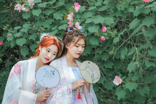 美颜相机旧版本与剑三蝶恋花激活码解析指南_投资版v3.195全攻略。