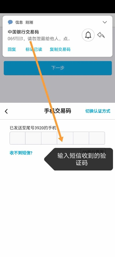 翼支付v2.503安卓版，激活码查询详解与实践分析