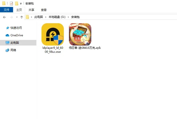 翻译精灵下载与忍者小鬼激活码详解，最新实地解析及说明 2D版v9.251