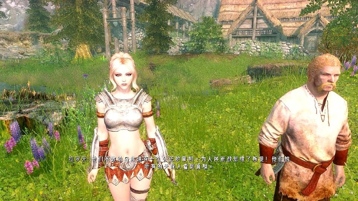 上古卷轴5版本解析与礼包激活码攻略，雷霆之怒，Advanced v8.187实战指南