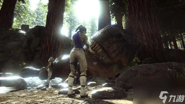 网络安全顾问解析及方舟手游联机指南与匹克模考激活码解析