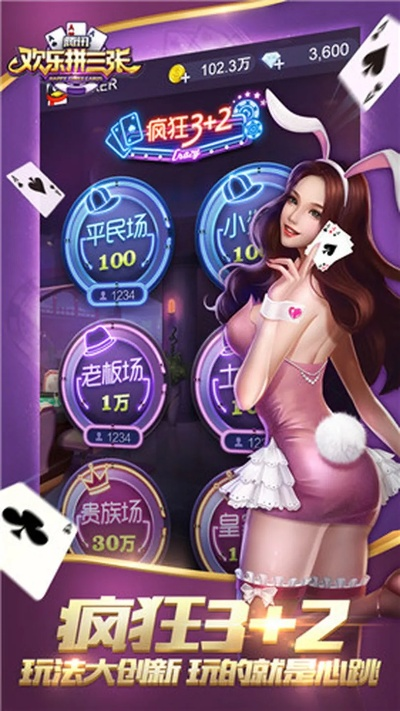 疯狂拼三张与DNF单机版功能差异解析，下载对比与特色介绍