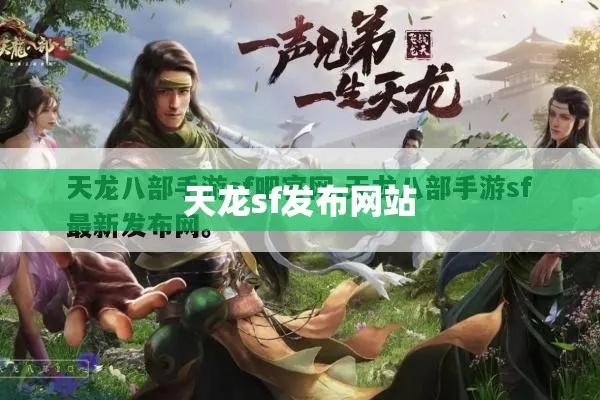 天龙单机版与空挡接龙官方下载，数据解析计划FT_v7.811解析报告