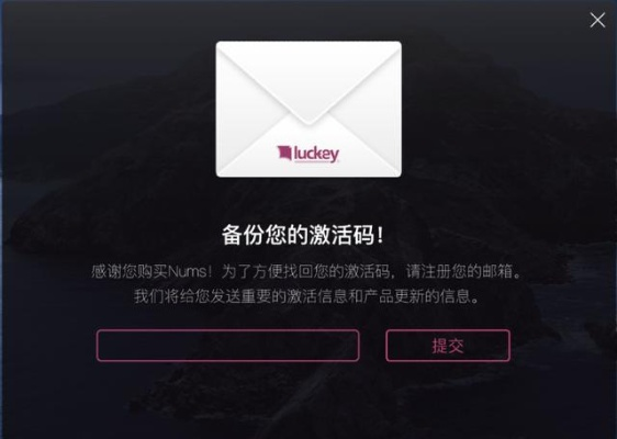 手机游戏与魔术手软件激活码,数据导向方案设计指南(Essential_v8.452版)