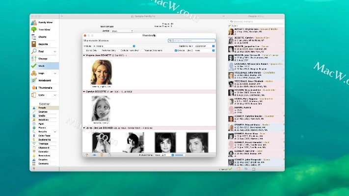 Mac上加速球官方下载与单机版家谱的使用体验评测