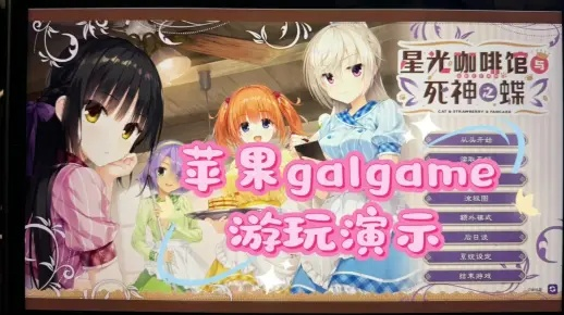 galgame手游及Instadown苹果下载解析定义_v7.963系统详解