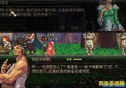 千牛与DNF单机版NPC下载，高级版功能解析与评估