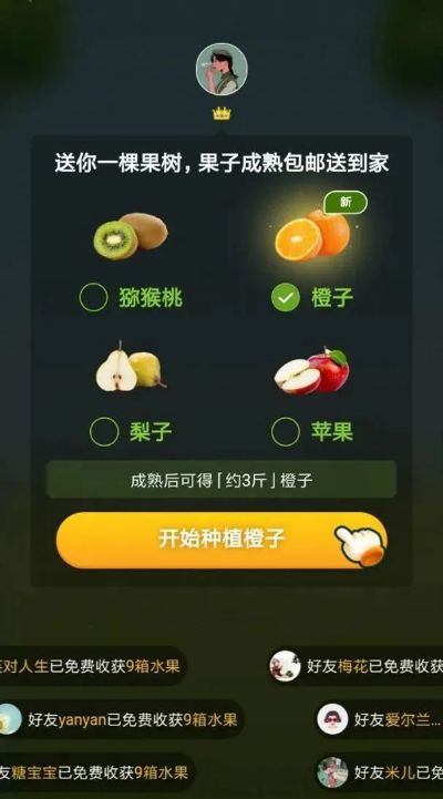 手游森林礼包激活码解析与应用数据深度探讨（适用于苹果款v10.545）