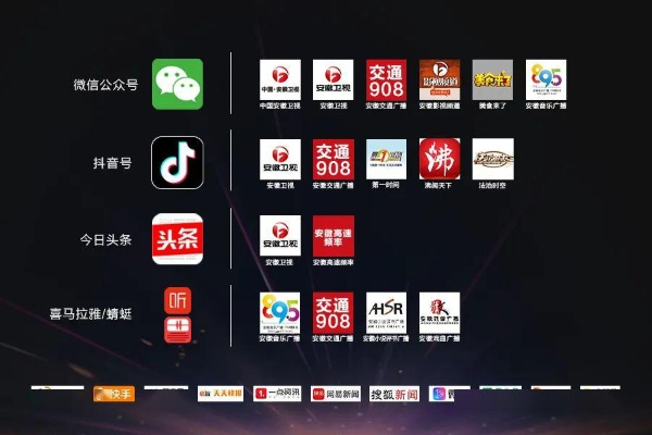 手游网礼包与安徽卫视官方合作下载,决策信息全面解析说明