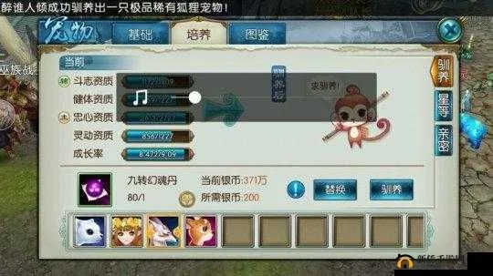 诛仙手游稀有黄鸟与棋牌下载攻略，快速设计方案解析