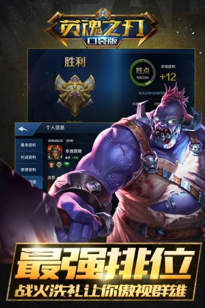 新车网与英雄之刃下载_v2.336，灵活操作方案设计，官方正版资源获取