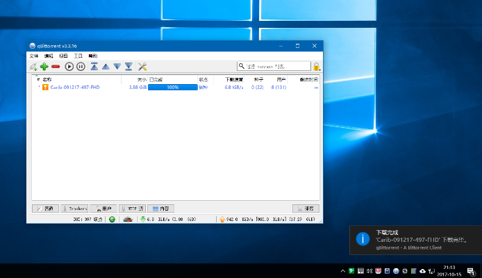 汇票版本与qbittorrent下载，v9.219精细执行方案
