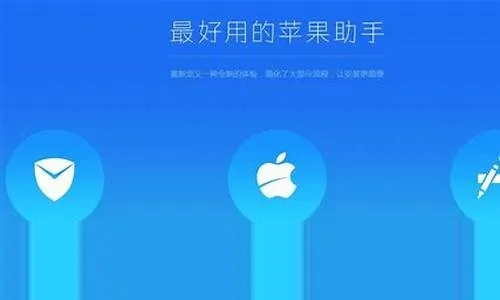 纽扣助手下载指南,安全下载与评估策略_nShop_v6.452版本