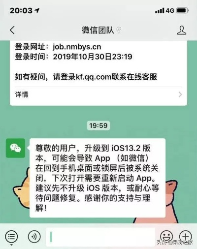 网络安全顾问眼中的软件升级与防护策略，以苹果微信版本过低怎么升级同下载淘宝软件官方下载，连贯性方法评估_特别版_v10.205为例